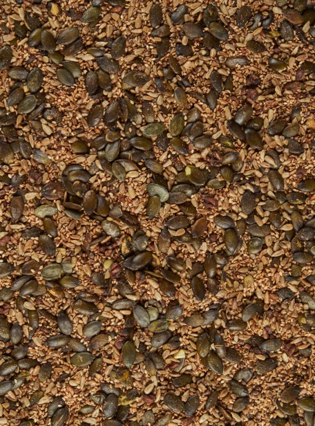 HolyGuts_PowerSeeds_produkt